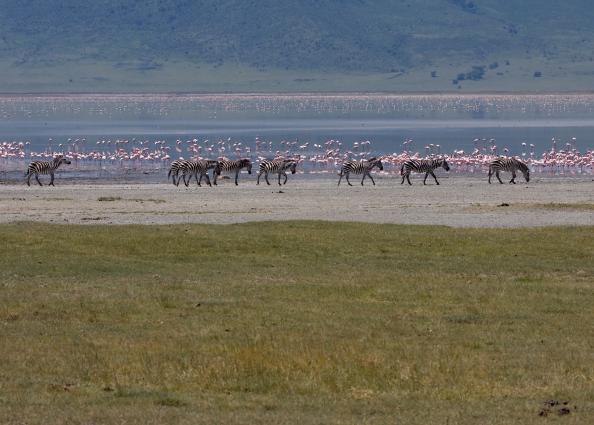 Ngorongoro-0746.jpg