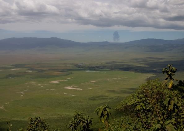 Serengeti-3462.jpg