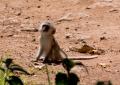 Ngorongoro-0659