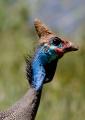 Ngorongoro-0946