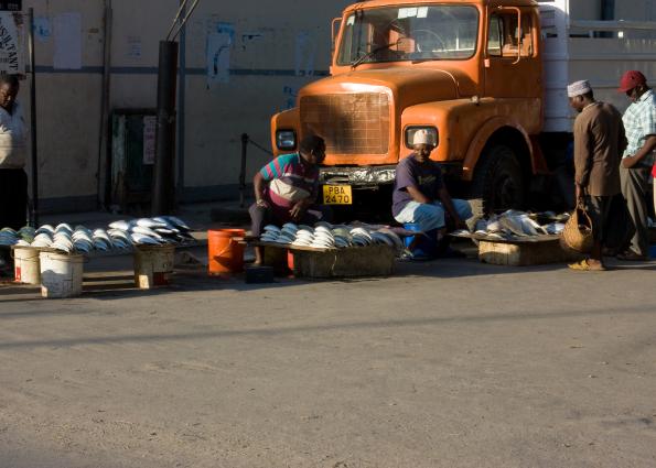 Zanzibar-5210.jpg - The local fish market