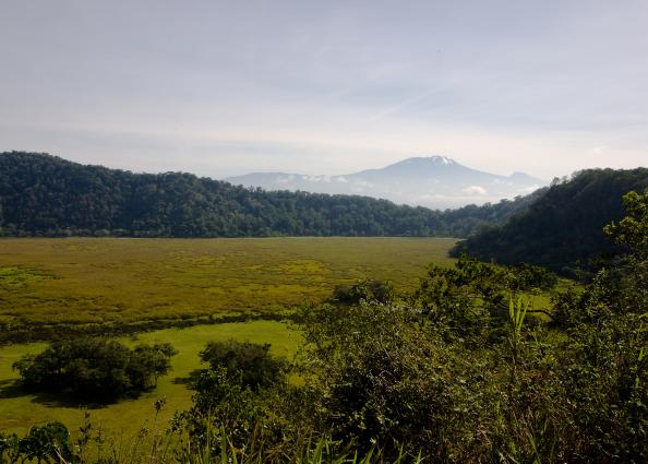 Arusha-3167.jpg - Mount Kilimanjaro in the distance