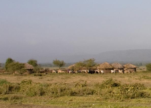 Zanzibar-4341.jpg - local Maasai village