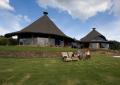 Ngorongoro-0192