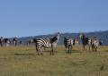 Ngorongoro-0298