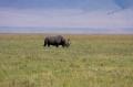 Ngorongoro-0525