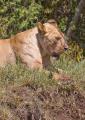 Ngorongoro-1087