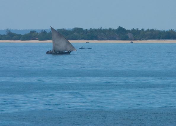 Zanzibar-3666.jpg - view from Stonetown