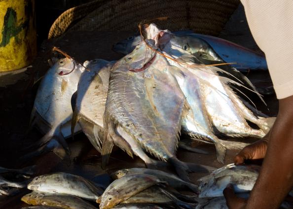 Zanzibar-5208.jpg - fish market(stonetown)