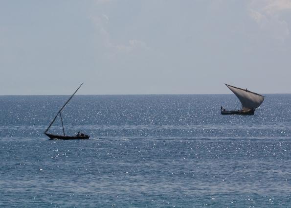 Zanzibar-5548.jpg - view from Stonetown