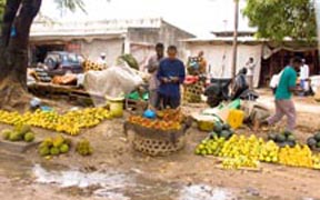 Zanzibar Shopping