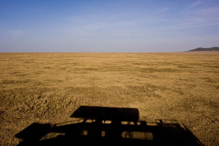 2009_Serengeti_40B-1041.jpg