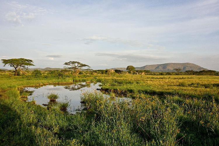 2009_Serengeti_40B-1216.jpg