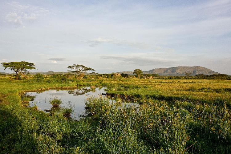 2009_Serengeti_40B-1216.jpg