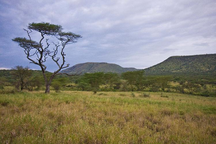 2009_Serengeti_40B-1304.jpg