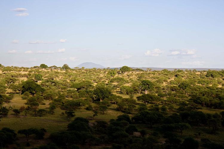 2009_Tarangire_40B-0478.jpg