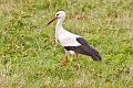 2009_Ngorongoro_40A-8728