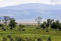 2009_Ngorongoro_40A-8931