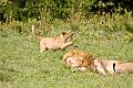 2009_Ngorongoro_40A-9197