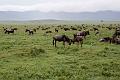 2009_Ngorongoro_40B-0774