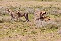 2009_Serengeti_40A-1828