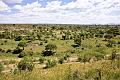 2009_Tarangire_40B-0457