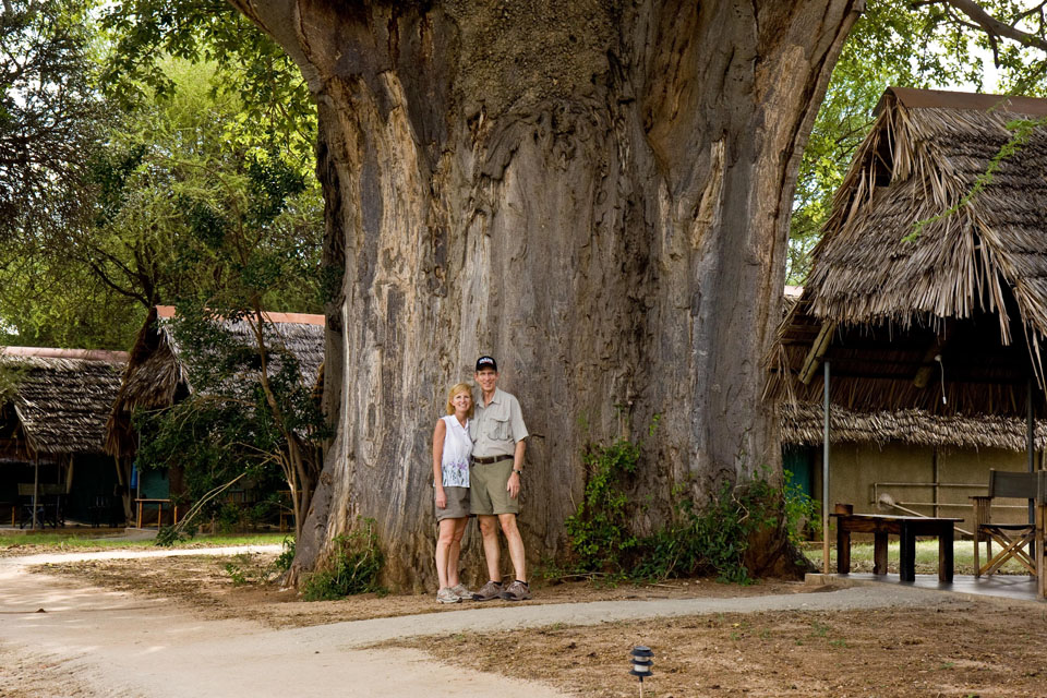 Tarangire Safari Lodge