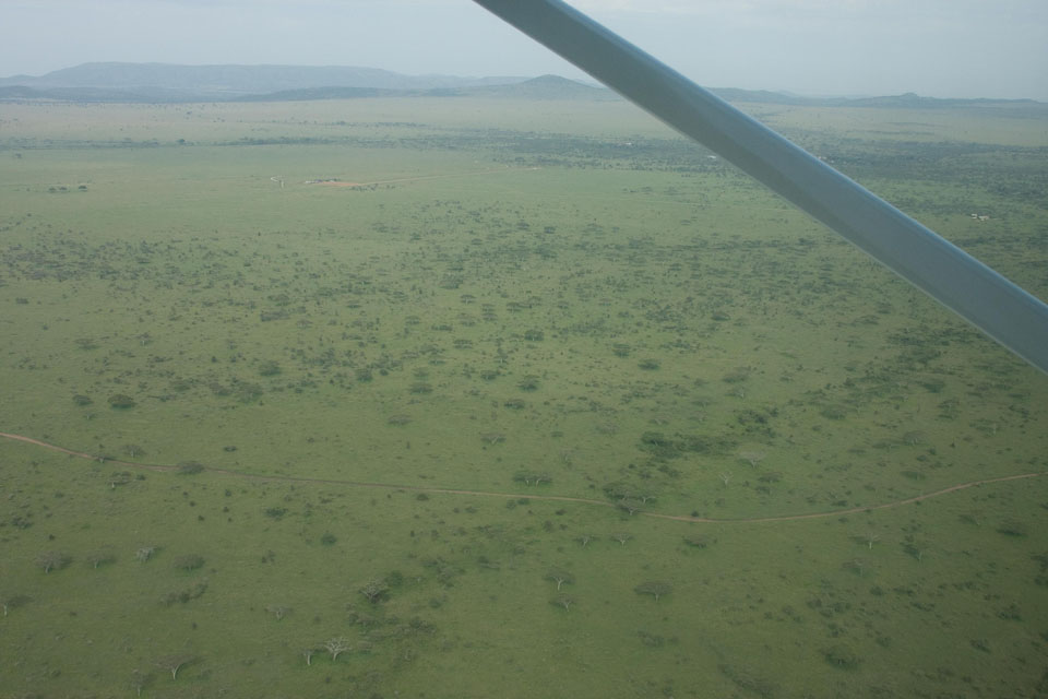 Serengeti Airport