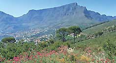 Table Mountain Cape Town