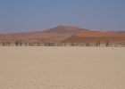 MG 7845  Dead Vlei at mid day, not a sole there