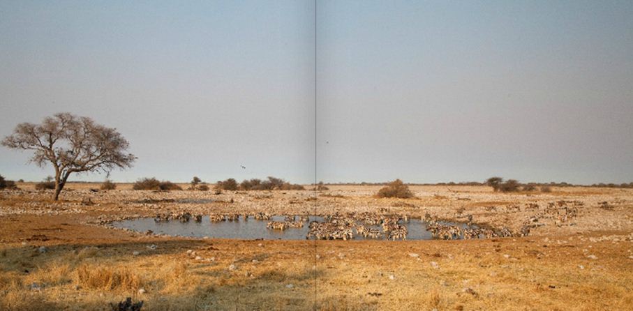 Etosha