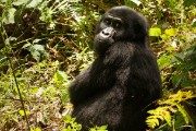  MG 1166 : 2014 Uganda
