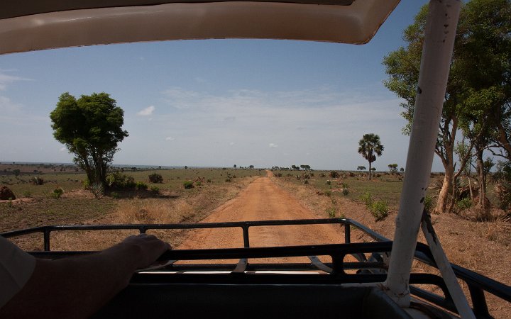 Game Drive