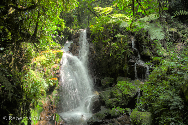 water falls