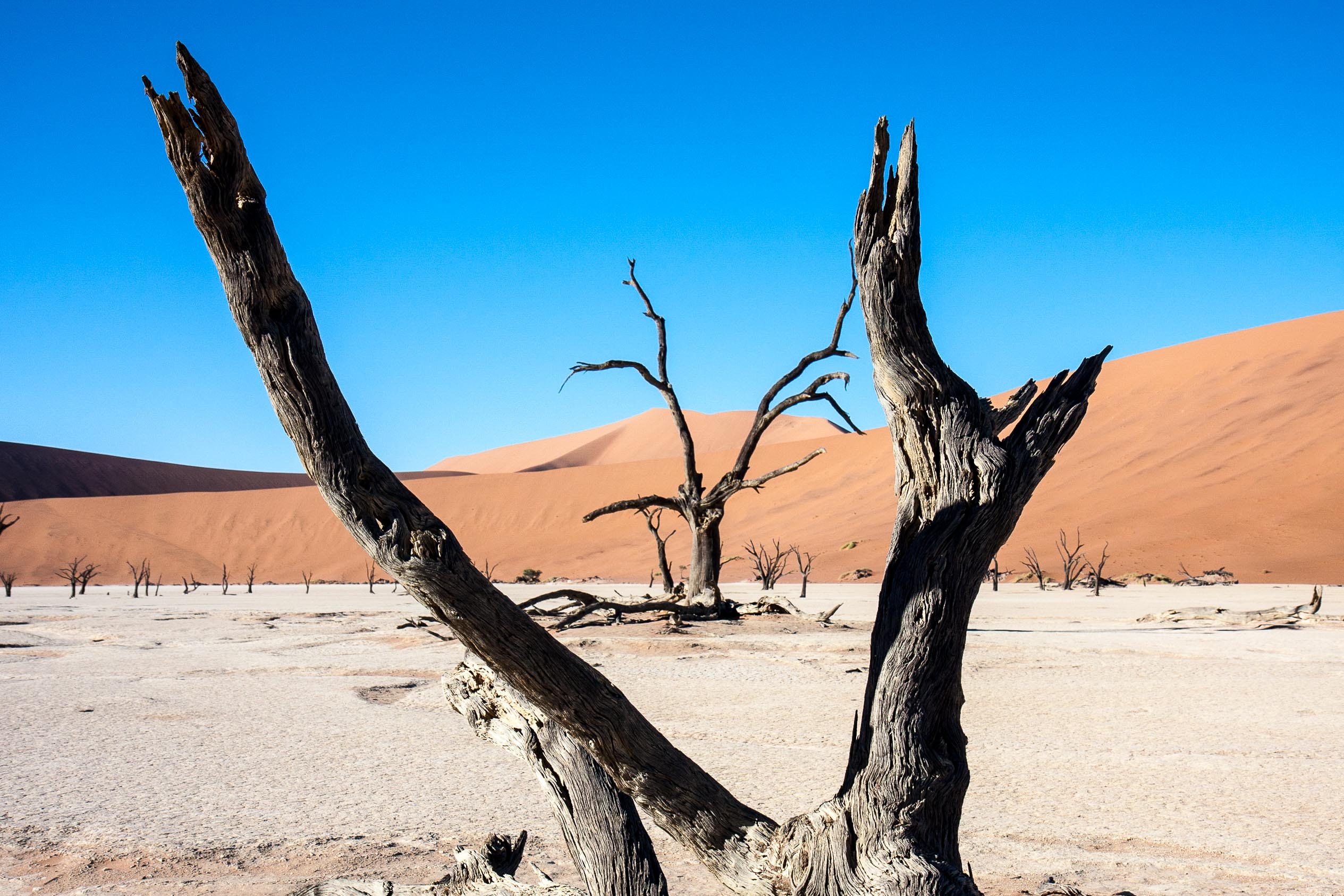 Deadvlei