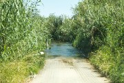 The drive to our cottage