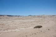 They sifted all the sand down to bedrock (about 3 feet deep) and then swept the landscape for any remaining diamonds