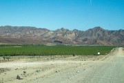 On the Namibian side of the Orange river