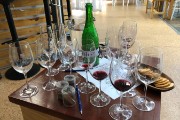 We did a little wine tasting.