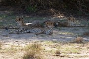 No breakfast so time for a nap