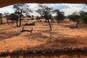 view from Camelthorn chalet