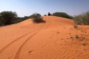 a little quad bike activity on the red dunes