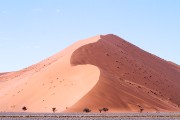 LOOK how small the trees are...the dune is that BIG!!!!