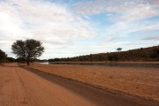 Auob river bed after rain