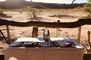 Set for dinner in the bush