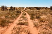 Road to Gharagab Camp