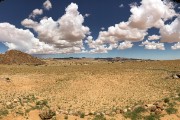 The view from the porch