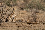 Mom is looking to hunt