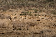 On the move