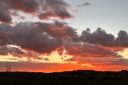 IMG 4257